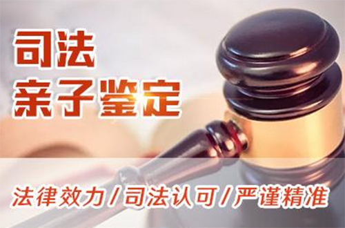 西宁司法DNA鉴定条件和材料,西宁司法亲子鉴定在哪做