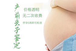西宁如何做孕期亲子鉴定